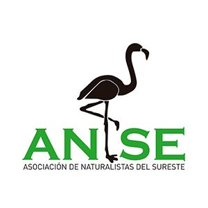 ANSE