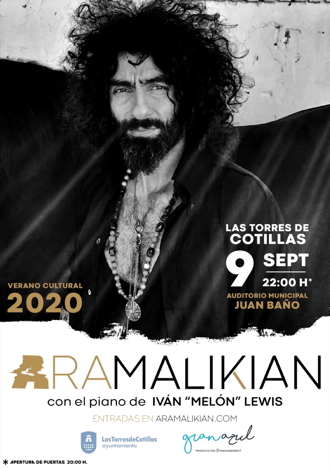 Cartel de Ara Malikian, 2020
